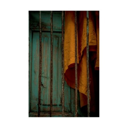 Trademark Fine Art Dan Ballard 'Shutters In Yellow' Canvas Art, 16x24 ALI45805-C1624GG